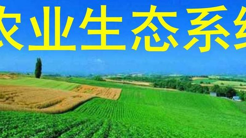 销售渠道是蔬菜种植创业的最后一环。可以采取以下几种方式：