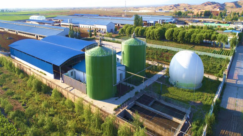 粮食出口，报关先行：揭秘粮食出口报关流程与海关编码