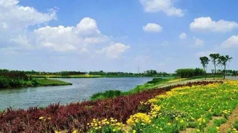 农产品配送利润分析：如何构建精准模型**