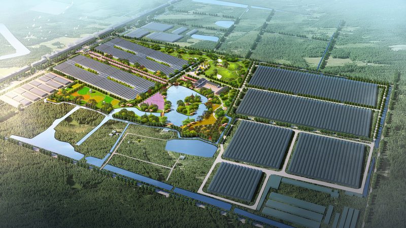 农机合作社运作模式解析：优劣势与未来展望**