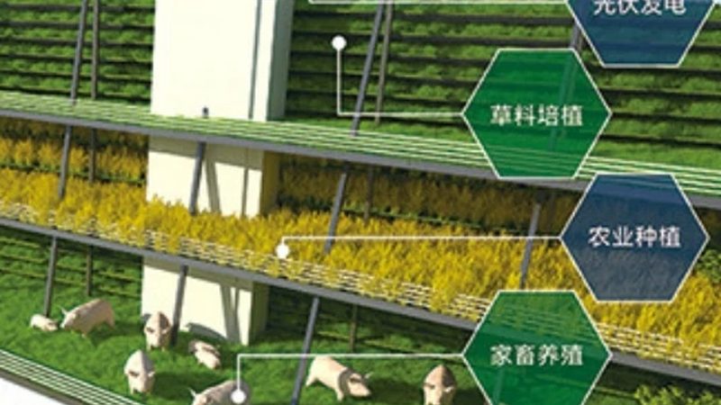 现代农业设施公司品牌，如何选择？**