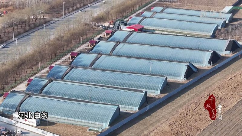 生态农业项目如何申请政府扶持资金**