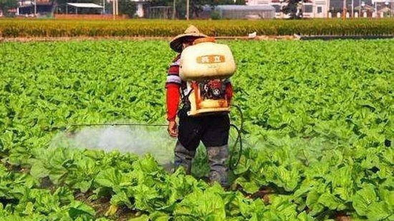 设施农业，助力四川农业现代化**