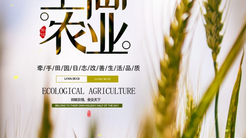 农业植保无人机：如何选择最适合您的品牌？**